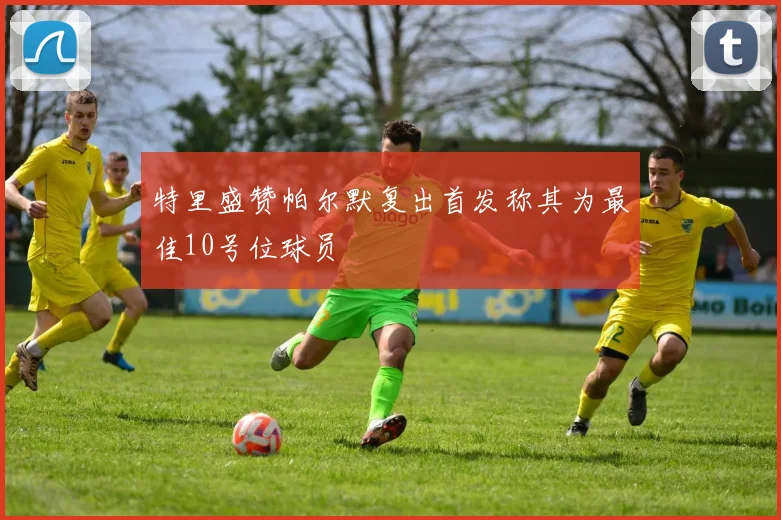 特里盛赞帕尔默复出首发称其为最佳10号位球员
