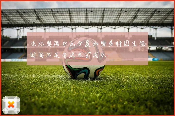法比奥席尔瓦今夏加盟多特因出场时间不足考虑冬窗离队