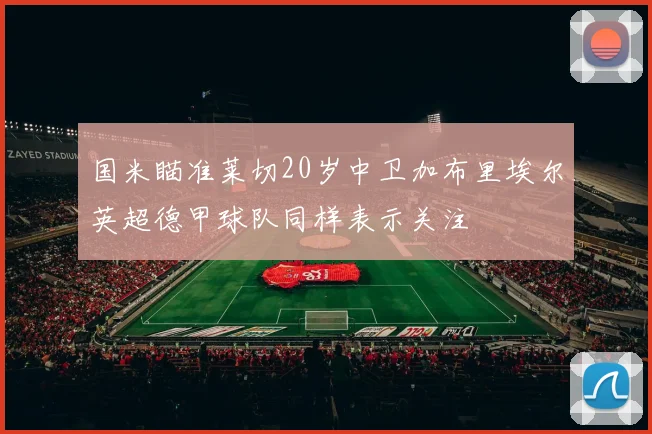 国米瞄准莱切20岁中卫加布里埃尔英超德甲球队同样表示关注