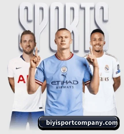 必一体育五大内容板块,覆盖赛事直播与实时比分 | BSports