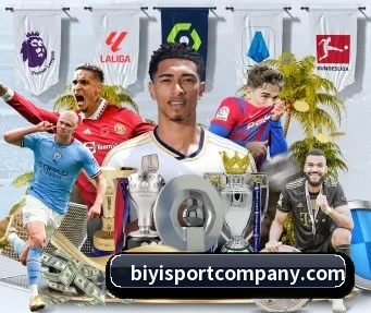 必一体育 APP - BSports